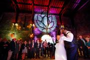 Thumbnail image 11 from SGDJ Weddings