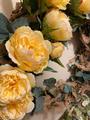 Thumbnail image 2 from Bewitched Interior Designs