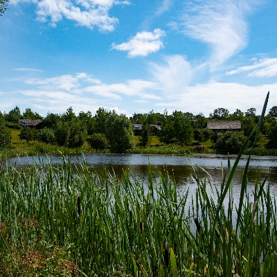 Bluestone National Park Resort is building 80 new lodges