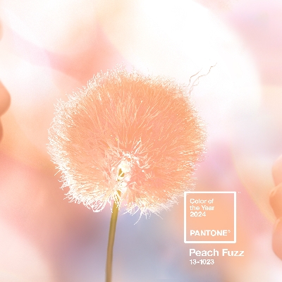 Feeling peachy with Pantone's Colour of the Year 2024 announcement