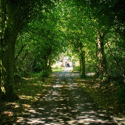 Wedding News: Pencoed House Estate is a charming wedding venue in Cardiff
