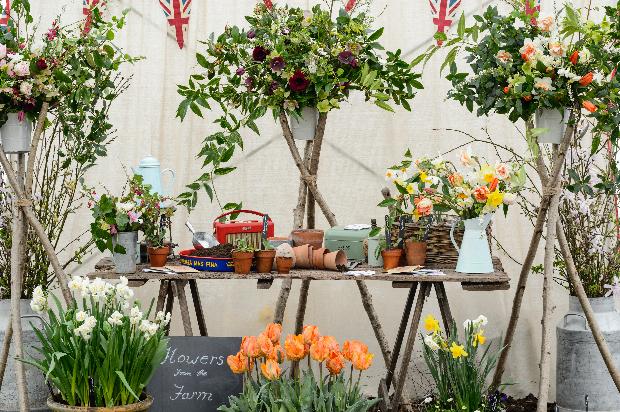 The RHS Flower Show is the go-to event to find everything and anything to do with flowers: Image 1
