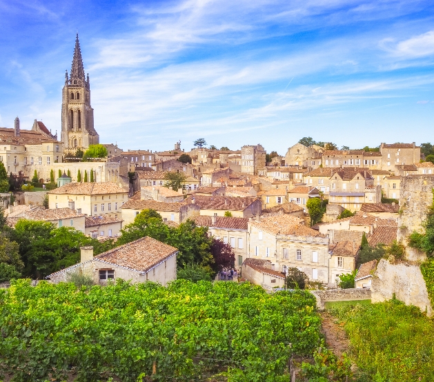 A roof top view of Bordeaux