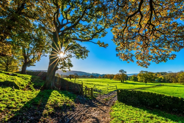 fields and gate with trees and brick wall sunny day