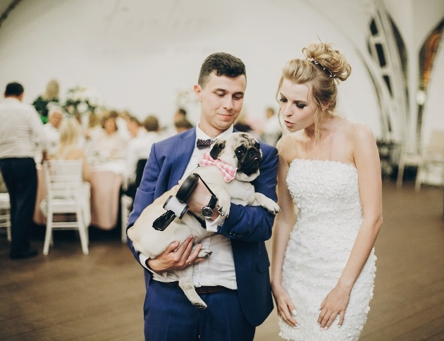 couple at wedding holding their dog