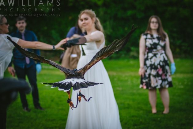 The British Bird of Prey Centre has continued to help couples celebrate their weddings during the pandemic