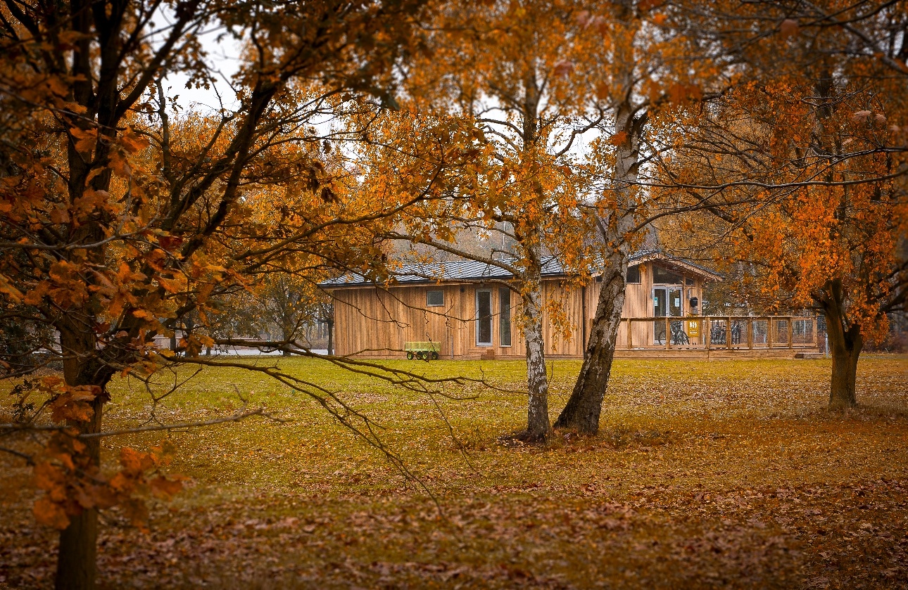 wooden lodge in a wooded area on an autumn's day