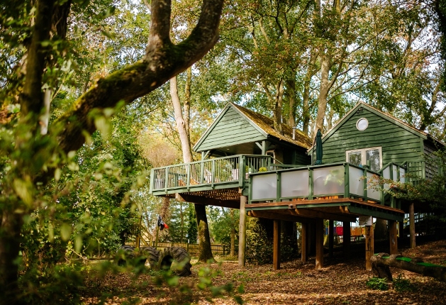 green wood cabin on stilts