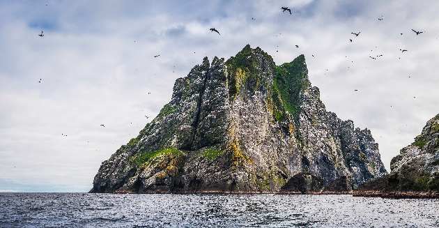 Seabirds flying over dramatic ocean island cliffs St Kilda Scotland