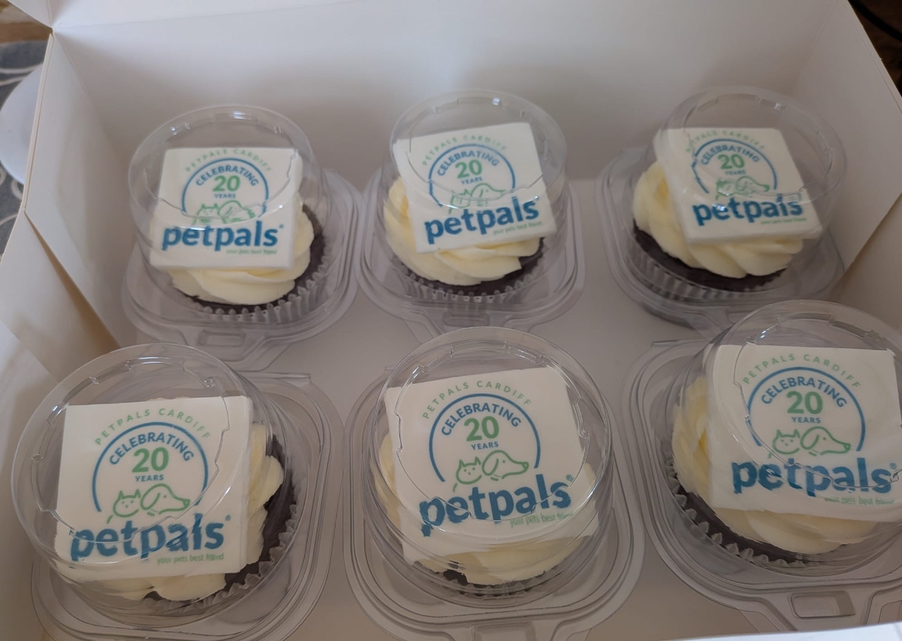 Cardiff-based pet carer celebrates 20 years of trusted service with cupcakes