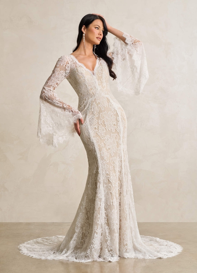 Diamond White Champagne Mermaid V-Neck Lace Dress