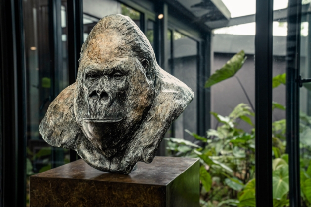 Silverback gorilla sculpture