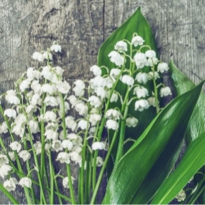 Artificial Floral Supplies