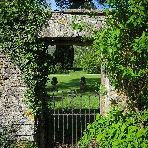 Tall John's House Weddings Ltd