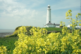 Image 2 from Nash Point Lighthouse