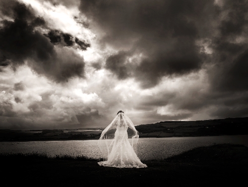 Image 4 from Paul Davies Photography