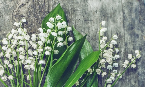 Artificial Floral Supplies