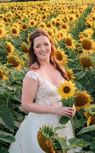 Image 1 from Paul Davies Photography