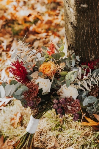 Jayne’s Flower Shed