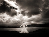Thumbnail image 4 from Paul Davies Photography