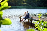Thumbnail image 5 from Paul Davies Photography