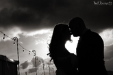 Thumbnail image 2 from Paul Davies Photography