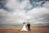 Thumbnail image 3 from Paul Davies Photography